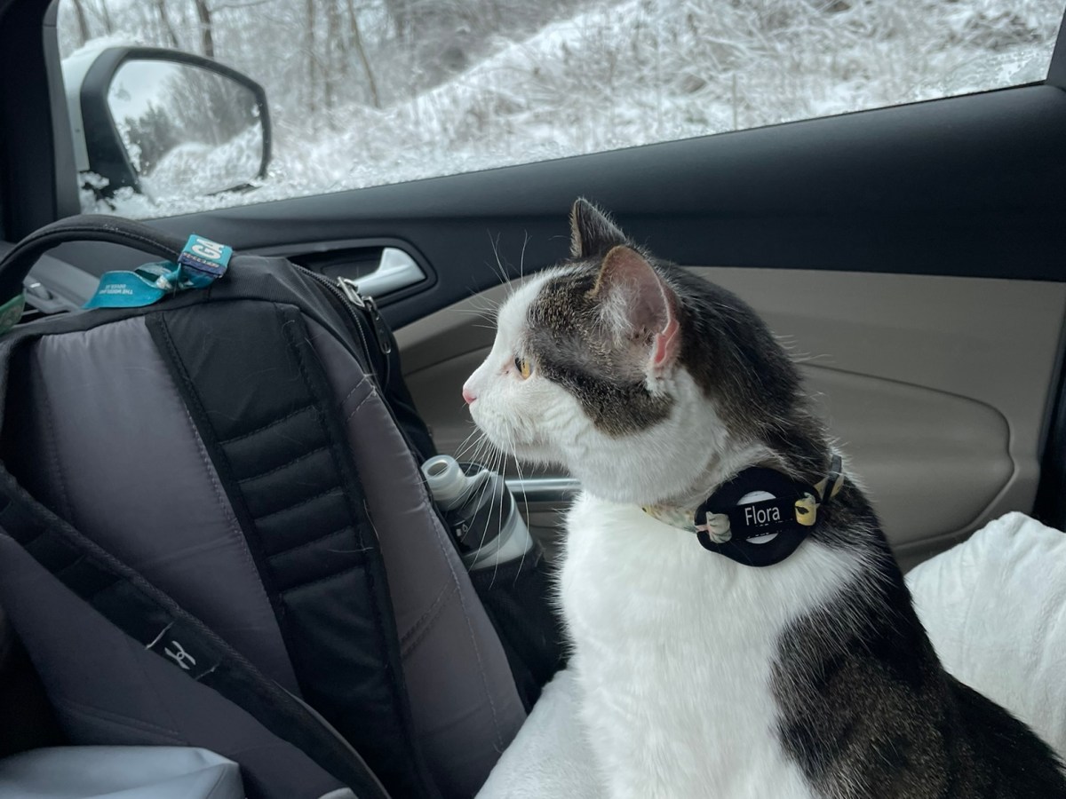 Week 2: Cold, cold, and more&nbsp;cold