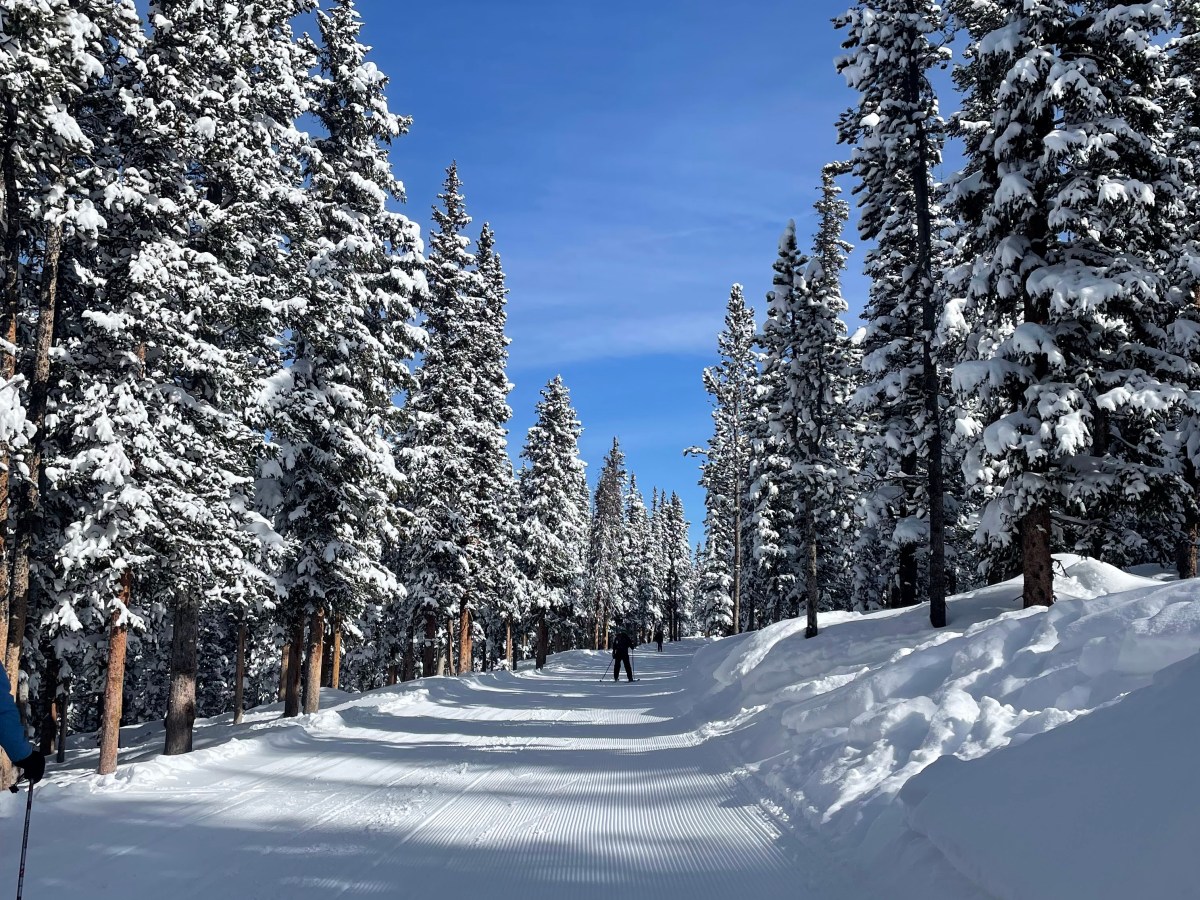 Week 10: Spring break&nbsp;sends